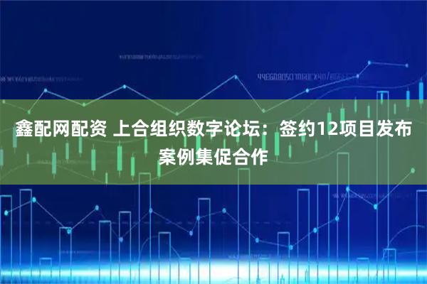 鑫配网配资 上合组织数字论坛：签约12项目发布案例集促合作